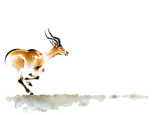 PSD 동물 한마리 야생동물 일러스트 캘리그라피 사슴 사람없음 달리기 국내일러스트 1 포유류 모션 파일형식