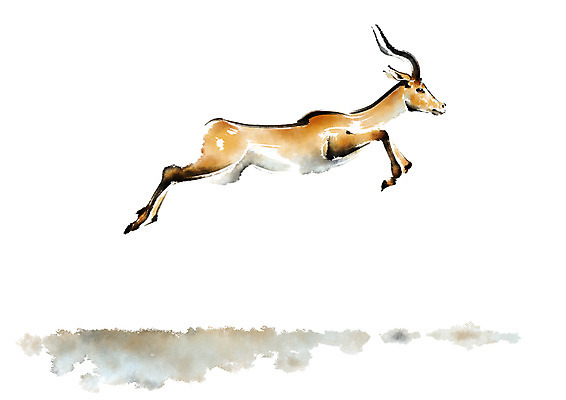 PSD 동물 한마리 야생동물 일러스트 캘리그라피 사슴 사람없음 달리기 국내일러스트 1 포유류 모션 파일형식