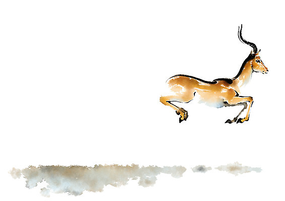 PSD 동물 한마리 야생동물 일러스트 캘리그라피 사슴 사람없음 달리기 국내일러스트 1 포유류 모션 파일형식