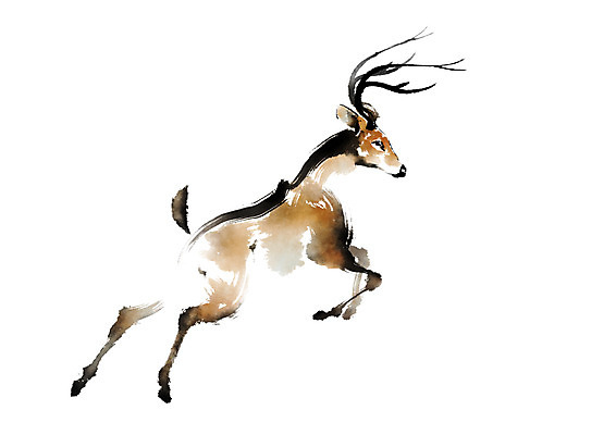 PSD 동물 한마리 야생동물 일러스트 캘리그라피 사슴 사람없음 달리기 국내일러스트 1 포유류 모션 파일형식