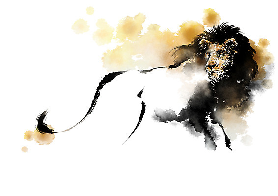 PSD 동물 한마리 야생동물 일러스트 캘리그라피 사람없음 사자 맹수 번짐 국내일러스트 1 포유류 파일형식 효과