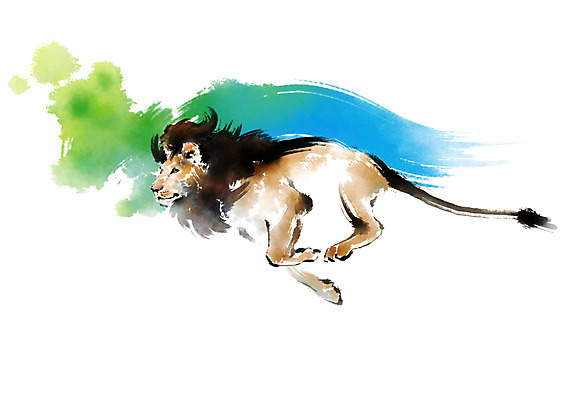 PSD 동물 한마리 야생동물 일러스트 캘리그라피 붓터치 사람없음 달리기 사자 맹수 번짐 국내일러스트 1 포유류 모션 파일형식 효과