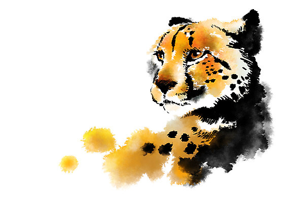 PSD 동물 한마리 야생동물 일러스트 캘리그라피 사람없음 맹수 번짐 치타 표범 국내일러스트 1 포유류 파일형식 효과