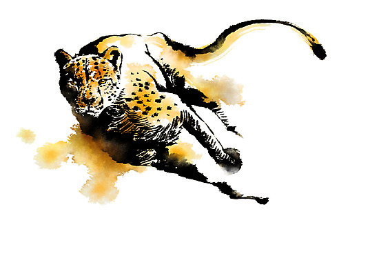 PSD 동물 한마리 야생동물 일러스트 캘리그라피 사람없음 달리기 맹수 번짐 치타 표범 국내일러스트 1 포유류 모션 파일형식 효과