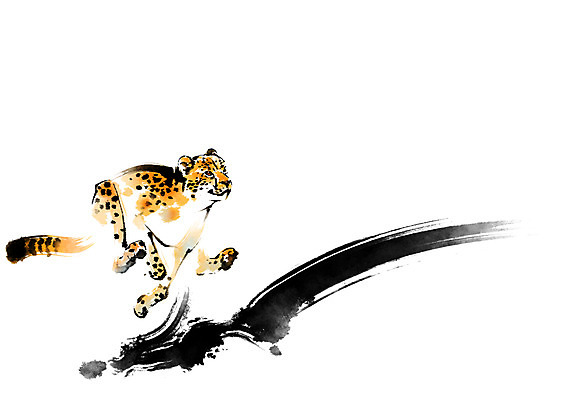 PSD 동물 한마리 야생동물 일러스트 캘리그라피 붓터치 사람없음 달리기 맹수 치타 표범 국내일러스트 1 포유류 모션 파일형식