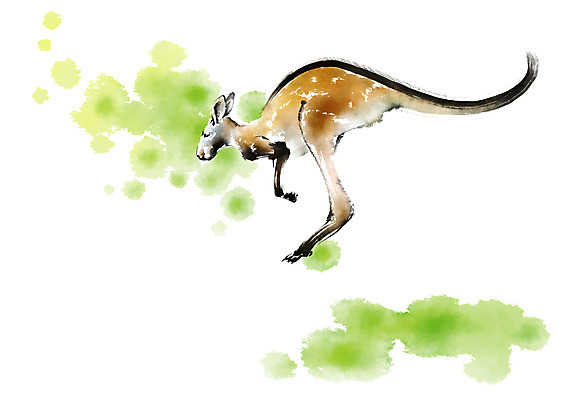 PSD 동물 한마리 야생동물 일러스트 캘리그라피 사람없음 번짐 캥거루 국내일러스트 1 포유류 파일형식 효과