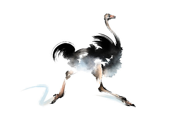 PSD 동물 한마리 일러스트 캘리그라피 사람없음 달리기 타조 국내일러스트 1 모션 조류 파일형식