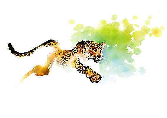PSD 동물 한마리 야생동물 일러스트 캘리그라피 사람없음 맹수 번짐 치타 표범 국내일러스트 1 포유류 파일형식 효과