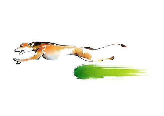 PSD 동물 한마리 일러스트 캘리그라피 붓터치 사람없음 달리기 개 국내일러스트 1 포유류 모션 파일형식