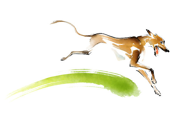 PSD 동물 한마리 일러스트 캘리그라피 붓터치 사람없음 달리기 개 국내일러스트 1 포유류 모션 파일형식