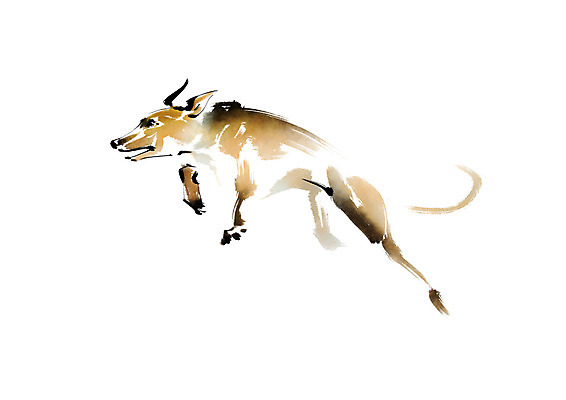 PSD 동물 한마리 일러스트 캘리그라피 사람없음 달리기 개 국내일러스트 1 포유류 모션 파일형식