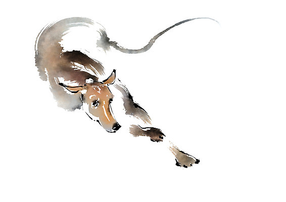 PSD 동물 한마리 일러스트 캘리그라피 사람없음 달리기 개 국내일러스트 1 포유류 모션 파일형식