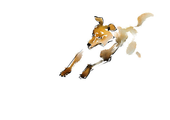 PSD 동물 한마리 일러스트 캘리그라피 사람없음 달리기 개 국내일러스트 1 포유류 모션 파일형식