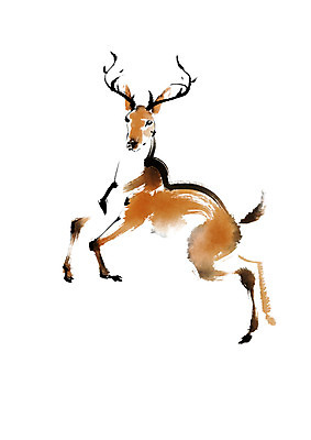 PSD 동물 한마리 야생동물 일러스트 캘리그라피 사슴 사람없음 국내일러스트 1 포유류 파일형식
