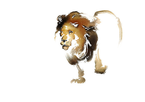 PSD 동물 한마리 야생동물 일러스트 캘리그라피 사람없음 사자 맹수 국내일러스트 1 포유류 파일형식