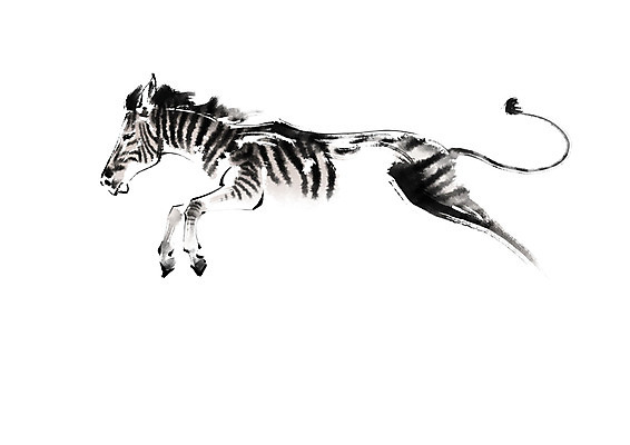 PSD 동물 한마리 야생동물 일러스트 캘리그라피 사람없음 달리기 얼룩말 국내일러스트 1 모션 말_동물 파일형식