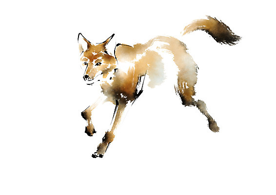 PSD 동물 한마리 야생동물 일러스트 캘리그라피 사람없음 늑대 국내일러스트 1 포유류 파일형식