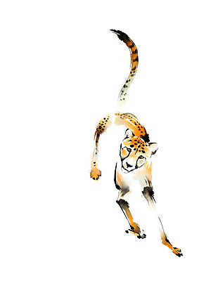 PSD 동물 한마리 야생동물 일러스트 캘리그라피 사람없음 맹수 치타 표범 국내일러스트 1 포유류 파일형식