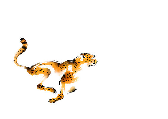 PSD 동물 한마리 야생동물 일러스트 캘리그라피 사람없음 달리기 맹수 치타 표범 국내일러스트 1 포유류 모션 파일형식