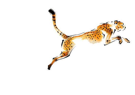 PSD 동물 한마리 야생동물 일러스트 캘리그라피 사람없음 달리기 맹수 치타 표범 국내일러스트 1 포유류 모션 파일형식