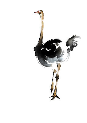 PSD 동물 한마리 일러스트 캘리그라피 사람없음 타조 국내일러스트 1 조류 파일형식