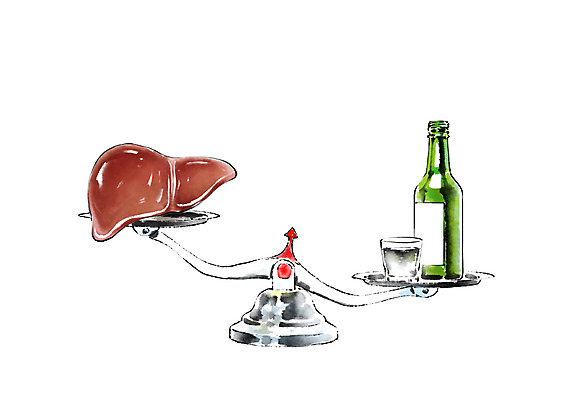 PSD 일러스트 캘리그라피 건강 사람없음 비교 무게 질병 간 소주 소주병 양팔저울 간암 소주잔 국내일러스트 컨셉 술잔 의학 술병 주류 저울 장기_의학 암 파일형식