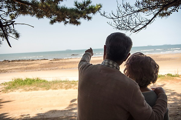 포토 JPG 주간 나무 부부 여자 노년 남자 바다 가족 한국 상반신 해변 야외 두명 뒷모습 노부부 다정 산책 한국인 가리킴 60대 안면도 노인만 국내포토 자연요소 식물 커플 아시아 뷰포인트 컨셉 관계 휴식 사람 동양인 손짓 성인 충청남도 태안 성인만 파일형식 나라 모션 인종 충청도