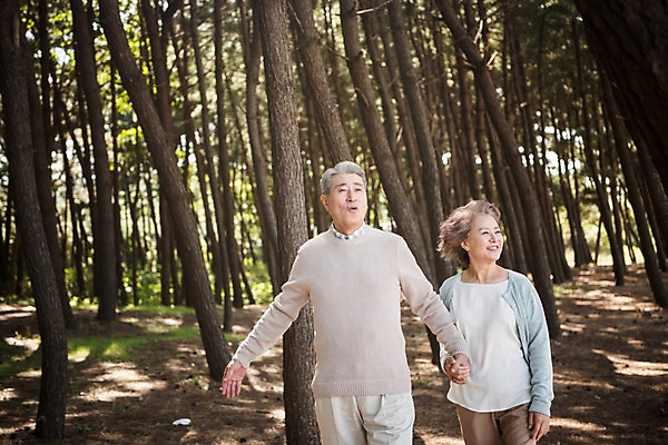 포토 JPG 주간 나무 부부 응시 여자 노년 남자 가족 한국 서기 미소 상반신 야외 두명 앞모습 걷기 손잡기 노부부 다정 산책 한국인 60대 숲 안면도 노인만 국내포토 자연요소 식물 커플 시선 아시아 뷰포인트 컨셉 관계 모션 휴식 표정 사람 동양인 성인 충청남도 태안 성인만 파일형식