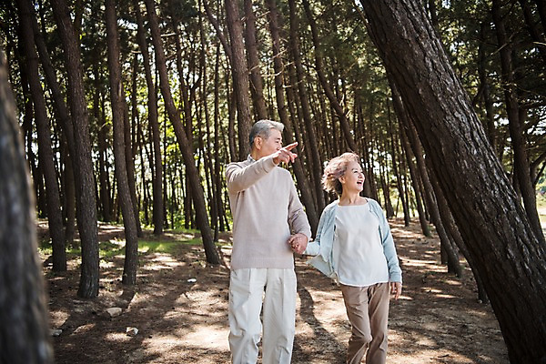 포토 JPG 주간 나무 부부 응시 여자 노년 남자 가족 한국 웃음 상반신 야외 두명 앞모습 걷기 손잡기 노부부 다정 산책 한국인 가리킴 60대 숲 안면도 노인만 국내포토 자연요소 식물 커플 시선 아시아 뷰포인트 컨셉 관계 모션 휴식 표정 사람 동양인 손짓 성인 충청남도 태안 성인만 파일형식