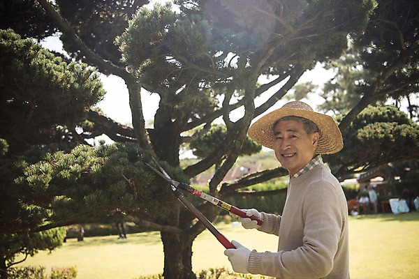 포토 JPG 주간 나무 노년 남자 한국 한명 서기 웃음 들기 상반신 야외 옆모습 아웃포커스 정원 한국인 60대 조경 가지치기 안면도 조경가위 조경사 노인남자한명만 국내포토 자연요소 식물 1 아시아 뷰포인트 모션 가위_도구 촬영기법 표정 사람 동양인 성인 충청남도 원예 태안 남자한명만 노인남자만 파일형식