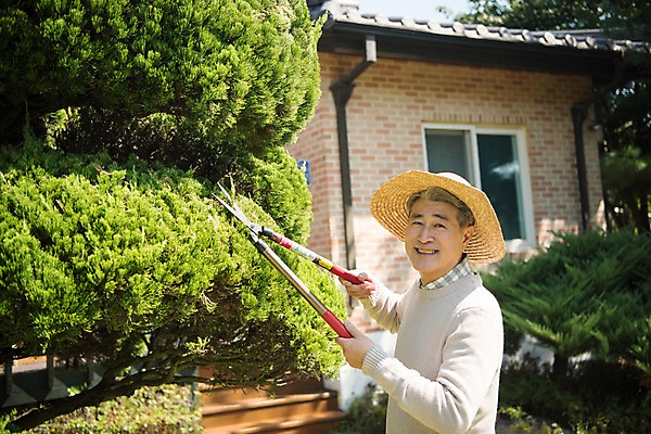 포토 JPG 주간 나무 노년 남자 한국 한명 서기 웃음 들기 상반신 야외 옆모습 아웃포커스 정원 한국인 60대 조경 가지치기 안면도 조경가위 조경사 노인남자한명만 국내포토 자연요소 식물 1 아시아 뷰포인트 모션 가위_도구 촬영기법 표정 사람 동양인 성인 충청남도 원예 태안 남자한명만 노인남자만 파일형식
