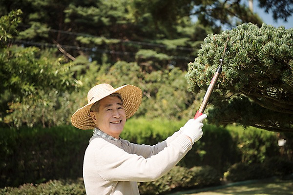 포토 JPG 주간 나무 노년 남자 한국 한명 서기 웃음 들기 상반신 야외 옆모습 아웃포커스 정원 한국인 60대 조경 가지치기 안면도 조경가위 조경사 노인남자한명만 국내포토 자연요소 식물 1 아시아 뷰포인트 모션 가위_도구 촬영기법 표정 사람 동양인 성인 충청남도 원예 태안 남자한명만 노인남자만 파일형식