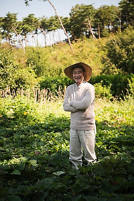 포토 JPG 주간 나무 노년 남자 밭 한국 한명 서기 웃음 상반신 야외 앞모습 아웃포커스 농작물 팔짱 한국인 60대 밭일 안면도 텃밭 노인남자한명만 국내포토 자연요소 식물 1 아시아 뷰포인트 농업 모션 촬영기법 표정 사람 동양인 성인 충청남도 태안 남자한명만 노인남자만 파일형식