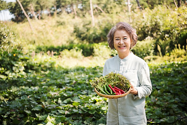 포토 JPG 주간 나무 여자 노년 밭 채소 고추 한국 한명 서기 웃음 들기 상반신 야외 앞모습 아웃포커스 농작물 한국인 60대 상추 안면도 텃밭 노인여자한명만 국내포토 자연요소 식물 1 아시아 뷰포인트 농업 모션 촬영기법 표정 사람 동양인 성인 충청남도 태안 여자한명만 노인여자만 파일형식
