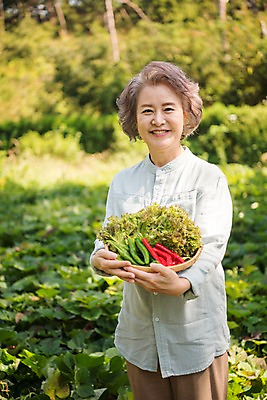 포토 JPG 주간 나무 여자 노년 밭 채소 고추 한국 한명 서기 웃음 들기 상반신 야외 앞모습 아웃포커스 농작물 한국인 60대 상추 안면도 텃밭 노인여자한명만 국내포토 자연요소 식물 1 아시아 뷰포인트 농업 모션 촬영기법 표정 사람 동양인 성인 충청남도 태안 여자한명만 노인여자만 파일형식