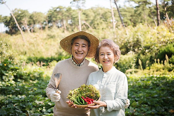 포토 JPG 주간 나무 부부 여자 노년 남자 밭 가족 고추 한국 서기 웃음 들기 상반신 야외 두명 앞모습 아웃포커스 농작물 노부부 한국인 60대 상추 안면도 텃밭 노인만 국내포토 자연요소 식물 커플 아시아 뷰포인트 농업 채소 관계 모션 촬영기법 표정 사람 동양인 성인 충청남도 태안 성인만 파일형식