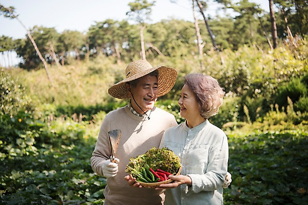 포토 JPG 주간 나무 부부 응시 여자 노년 남자 밭 가족 고추 한국 서기 미소 들기 상반신 야외 두명 앞모습 아웃포커스 농작물 노부부 한국인 60대 상추 안면도 텃밭 호미 노인만 국내포토 자연요소 식물 커플 시선 아시아 뷰포인트 농업 채소 관계 모션 촬영기법 표정 사람 동양인 성인 충청남도 농기구 태안 성인만 파일형식