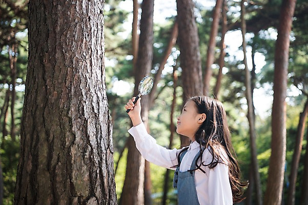 포토 JPG 주간 나무 응시 여자 어린이 돋보기 한국 한명 서기 웃음 들기 소녀 상반신 야외 옆모습 아웃포커스 한국인 숲 안면도 소녀한명만 국내포토 자연요소 식물 1 시선 아시아 뷰포인트 모션 촬영기법 표정 사람 동양인 충청남도 태안 여자한명만 소녀만 파일형식