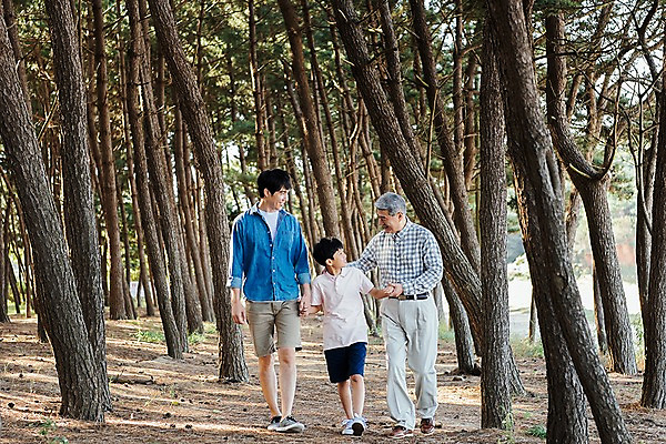포토 JPG 주간 전신 나무 응시 할아버지 남자 아들 어린이 40대 가족 손자 한국 미소 소년 야외 앞모습 아웃포커스 10대 세명 걷기 손잡기 산책 한국인 가족라이프 아빠 60대 숲 부자3대 안면도 남자만 국내포토 자연요소 식물 라이프스타일 시선 노년 아시아 뷰포인트 중년 관계 모션 청소년 휴식 촬영기법 표정 사람 동양인 충청남도 손주 태안 파일형식