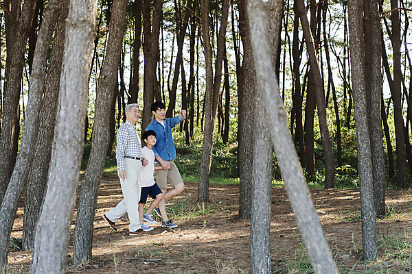 포토 JPG 주간 전신 나무 응시 할아버지 남자 아들 40대 가족 손자 한국 미소 야외 옆모습 아웃포커스 10대 세명 걷기 손잡기 산책 한국인 가리킴 가족라이프 아빠 60대 숲 부자3대 안면도 남자만 국내포토 자연요소 식물 라이프스타일 시선 노년 아시아 뷰포인트 중년 관계 모션 청소년 휴식 촬영기법 표정 사람 동양인 손짓 충청남도 손주 태안 파일형식