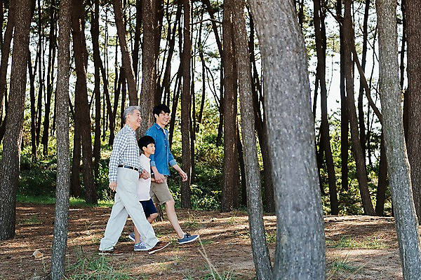 포토 JPG 주간 전신 나무 응시 할아버지 남자 아들 40대 가족 손자 한국 웃음 야외 옆모습 아웃포커스 10대 세명 걷기 손잡기 산책 한국인 가족라이프 아빠 60대 숲 부자3대 안면도 남자만 국내포토 자연요소 식물 라이프스타일 시선 노년 아시아 뷰포인트 중년 관계 모션 청소년 휴식 촬영기법 표정 사람 동양인 충청남도 손주 태안 파일형식