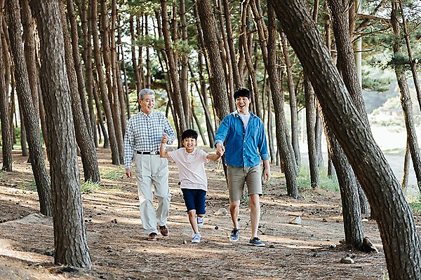 포토 JPG 주간 전신 나무 응시 할아버지 남자 아들 어린이 40대 가족 손자 한국 웃음 소년 야외 앞모습 아웃포커스 10대 세명 걷기 손잡기 산책 한국인 가족라이프 아빠 60대 숲 즐거움 부자3대 안면도 남자만 국내포토 자연요소 식물 라이프스타일 시선 노년 감정 아시아 뷰포인트 중년 관계 모션 청소년 휴식 촬영기법 표정 사람 동양인 충청남도 손주 태안 파일형식