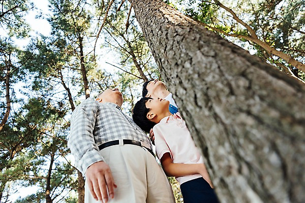 포토 JPG 주간 나무 응시 할아버지 남자 아들 어린이 로우앵글 40대 가족 손자 한국 서기 미소 소년 상반신 야외 옆모습 아웃포커스 10대 세명 한국인 올려보기 가족라이프 아빠 60대 숲 부자3대 안면도 남자만 국내포토 자연요소 식물 라이프스타일 시선 노년 아시아 뷰포인트 중년 관계 모션 청소년 촬영기법 표정 사람 동양인 충청남도 손주 태안 파일형식