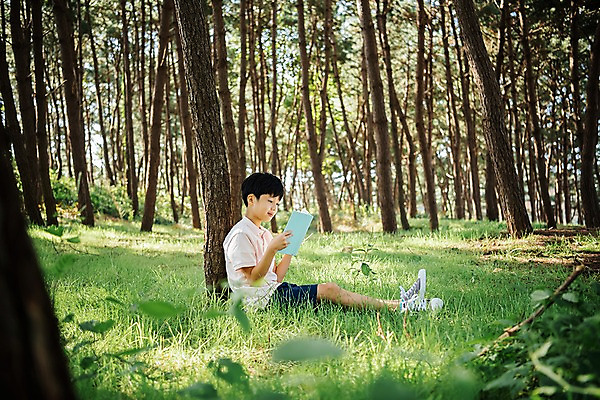 포토 JPG 주간 전신 나무 남자 어린이 한국 한명 웃음 들기 앉기 소년 야외 옆모습 아웃포커스 10대 책 독서 한국인 숲 안면도 소년한명만 국내포토 자연요소 식물 1 아시아 뷰포인트 모션 청소년 촬영기법 표정 사람 동양인 충청남도 태안 남자한명만 소년만 파일형식