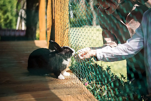 포토 JPG 주간 응시 여자 딸 어린이 가족 모녀 엄마 한국 서기 잔디 상반신 성인 야외 두명 옆모습 아웃포커스 신체부위 30대 한국인 토끼 가족라이프 먹이 사육장 팔 반려 안면도 국내포토 자연요소 식물 라이프스타일 시선 아시아 뷰포인트 포유류 관계 모션 촬영기법 사람 동양인 장년 반려동물 충청남도 태안 파일형식