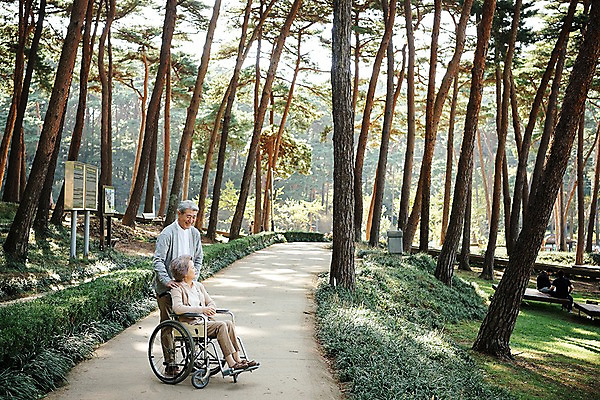 포토 JPG 주간 전신 나무 부부 응시 공원 여자 노년 남자 가족 한국 서기 앉기 야외 두명 옆모습 아웃포커스 노부부 산책 산책로 한국인 가족라이프 60대 숲 휠체어 요양 안면도 부부라이프 노인만 국내포토 자연요소 식물 라이프스타일 커플 시선 공공시설 아시아 길 뷰포인트 관계 모션 휴식 촬영기법 사람 동양인 성인 충청남도 간호 태안 성인만 파일형식