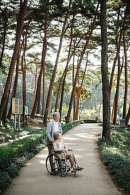 포토 JPG 주간 전신 나무 부부 공원 여자 노년 남자 가족 한국 서기 앉기 야외 두명 앞모습 옆모습 아웃포커스 노부부 산책 산책로 한국인 가족라이프 60대 숲 휠체어 요양 안면도 부부라이프 노인만 국내포토 자연요소 식물 라이프스타일 커플 공공시설 아시아 길 뷰포인트 관계 모션 휴식 촬영기법 사람 동양인 성인 충청남도 간호 태안 성인만 파일형식