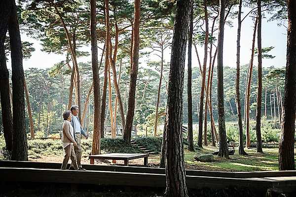 포토 JPG 주간 전신 나무 부부 응시 공원 여자 노년 남자 가족 한국 야외 두명 옆모습 걷기 노부부 산책 한국인 가족라이프 60대 숲 안면도 부부라이프 노인만 국내포토 자연요소 식물 라이프스타일 커플 시선 공공시설 아시아 뷰포인트 관계 모션 휴식 사람 동양인 성인 충청남도 태안 성인만 파일형식