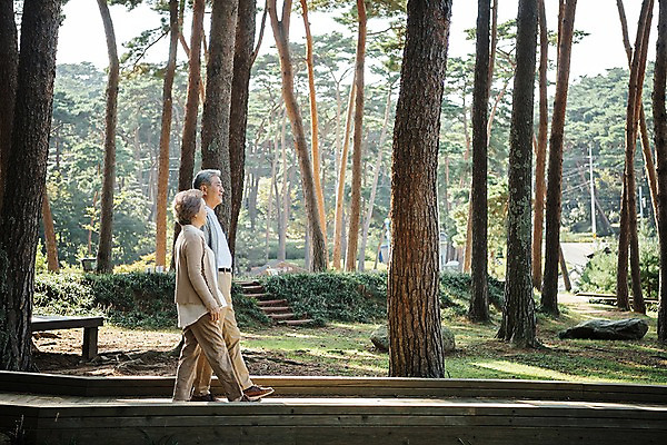 포토 JPG 주간 전신 나무 부부 응시 공원 여자 노년 남자 가족 한국 미소 야외 두명 옆모습 걷기 노부부 산책 한국인 가족라이프 60대 숲 안면도 부부라이프 노인만 국내포토 자연요소 식물 라이프스타일 커플 시선 공공시설 아시아 뷰포인트 관계 모션 휴식 표정 사람 동양인 성인 충청남도 태안 성인만 파일형식
