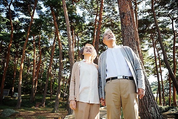 포토 JPG 주간 나무 부부 응시 공원 여자 노년 남자 로우앵글 가족 한국 서기 미소 상반신 야외 두명 앞모습 아웃포커스 손잡기 노부부 다정 산책 한국인 올려보기 가족라이프 60대 숲 안면도 부부라이프 노인만 국내포토 자연요소 식물 라이프스타일 커플 시선 공공시설 아시아 뷰포인트 컨셉 관계 모션 휴식 촬영기법 표정 사람 동양인 성인 충청남도 태안 성인만 파일형식